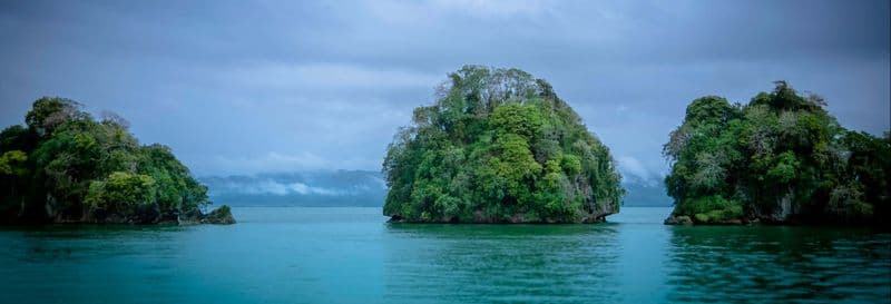 Billet Balade en kayak dans le Parc National Los Haitises