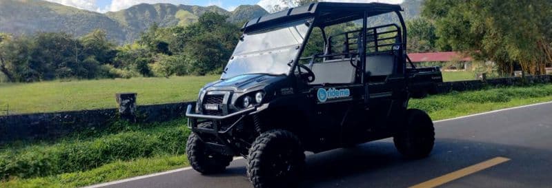 Balade en buggy dans El Valle de Antón