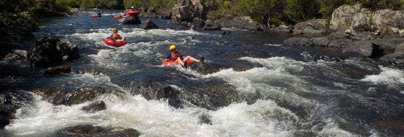 Tubing dans la forêt tropicale de Cairns