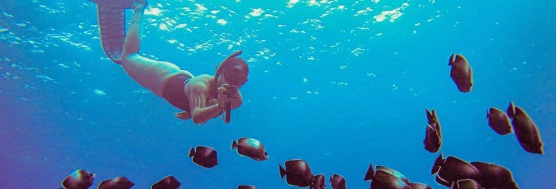 Snorkeling à la plage d'Ovahe