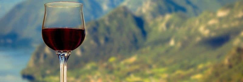 Visite d'un domaine viticole au lac de Garde + Dégustation de vin et d'huile d'olive