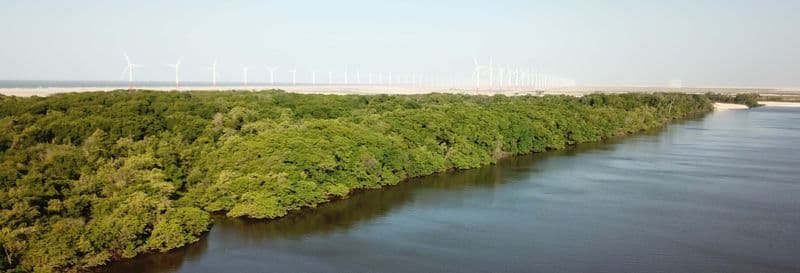 Transfert entre Barreirinhas et Atins en bateau à moteur