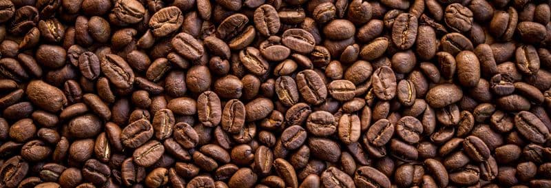 Visite à la découverte du café à San Marcos de Tarrazú