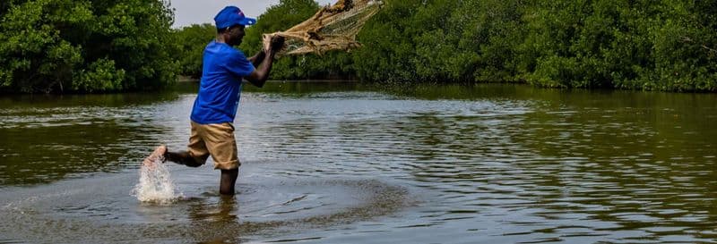Pêche au crabe dans les mangroves de Carthagène des Indes