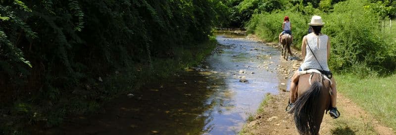 Balade à cheval jusqu'à la cascade d'El Pilón