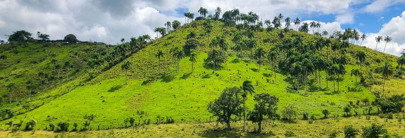 Truck safari dans Punta Cana