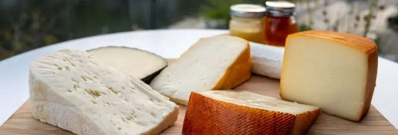 Visite avec dégustation des vins et fromages de Querétaro