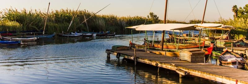 Free tour dans l'Albufera