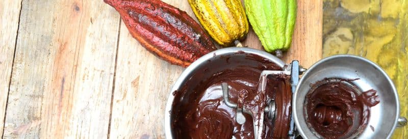 Billet Visite du Musée du cacao Kakaw