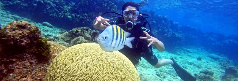 Plongée dans la baie des Cochons