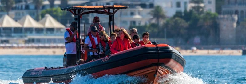 Observation de dauphins à Cascais