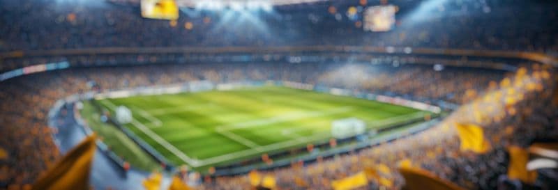 Match de football à Istanbul avec un guide local