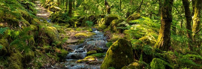 Canyoning dans le Parc national de Peneda-Gerês