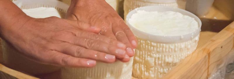 Atelier de fabrication de fromage et de yaourt à Puerto Inca