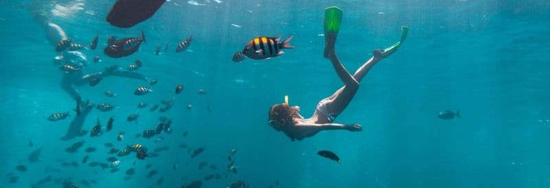 Snorkeling à La Havane
