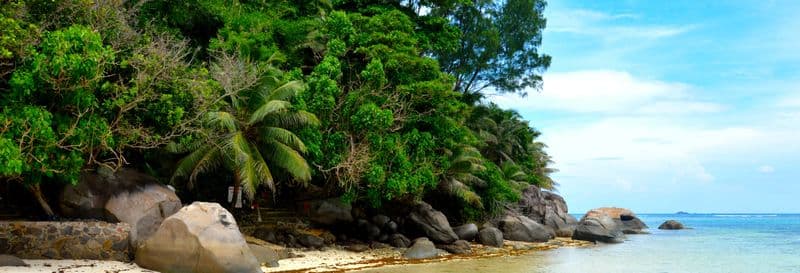 Billet Excursion sur l'île Moyenne + snorkeling et déjeuner au restaurant Jolly Roger
