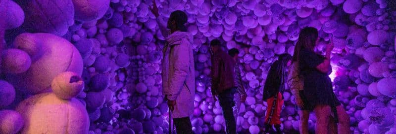 Billet pour le Moco Museum d'Amsterdam