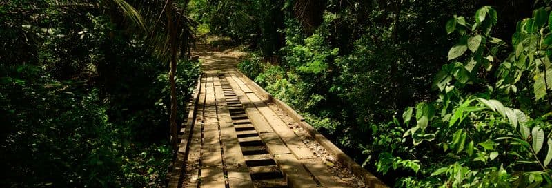 Observation d'oiseaux sur le Sentier de l’Oléoduc de Gamboa