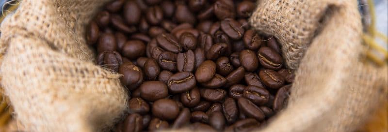 Visite à la découverte du café à Villa Rica