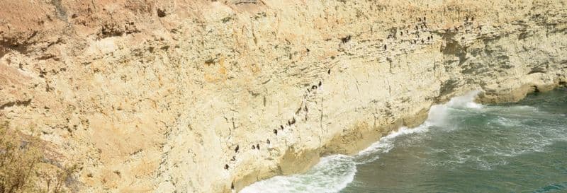 Snorkeling avec les otaries à Punta Loma