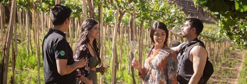 Billet Excursion sur le thème du pisco, du vin et de la bière dans la vallée de l'Elqui