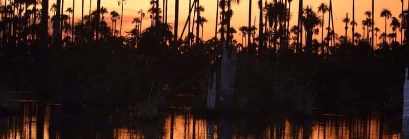 Pêche de piranhas et observation d'oiseaux