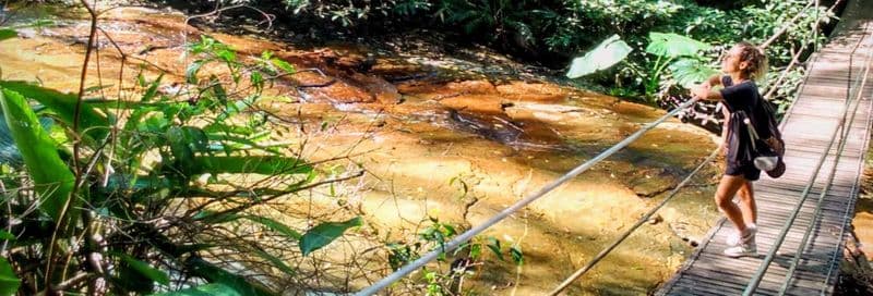 Randonnée au Parc National de Tijuca