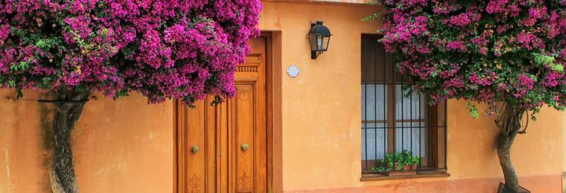 Excursion à Colonia del Sacramento + Bus touristique