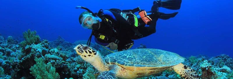 Plongée à Portobelo