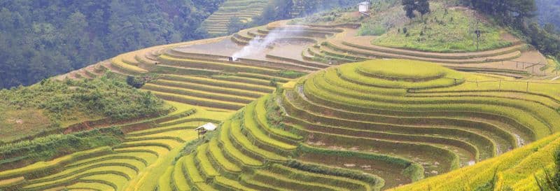 Balade à vélo électrique dans les rizières