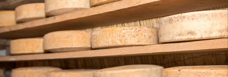 Dégustation de fromages à Vérone