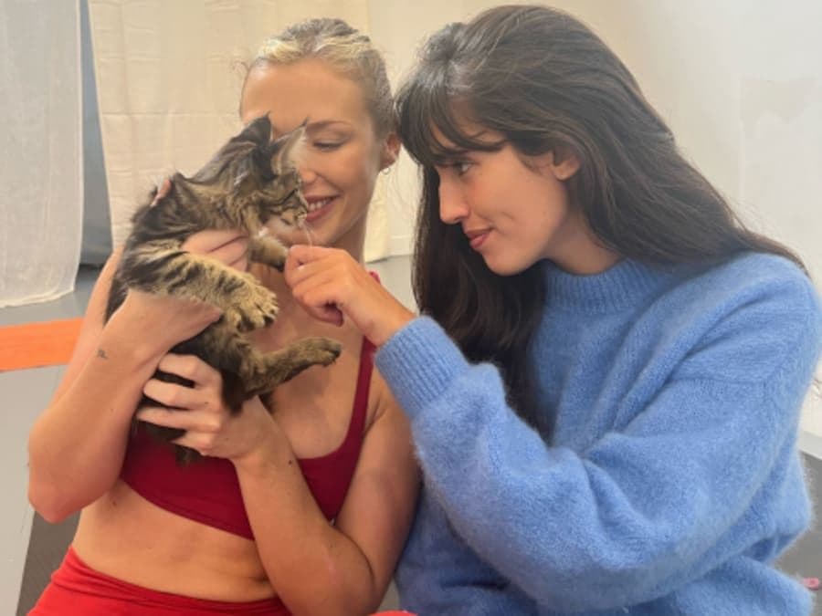 Billet Kitten yoga : Yoga avec des chatons à Paris 3ème