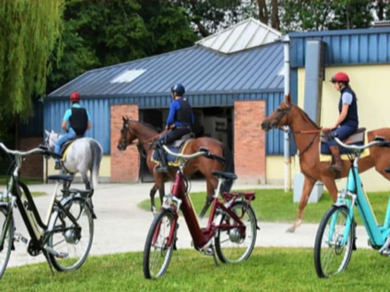 Location de vélo électrique à Deauville (14)