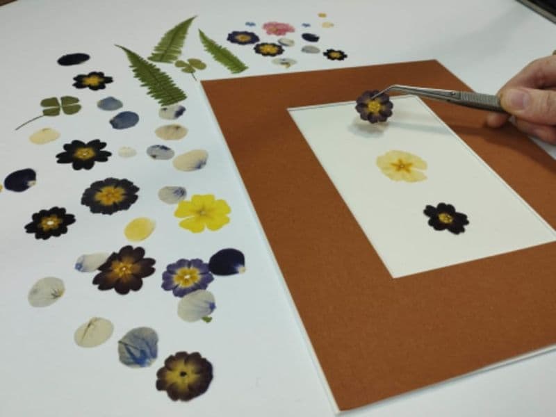 Initiation à l'encadrement d'une composition florale à Lyon (69)