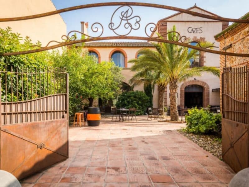 Journée œnologie, repas & dégustation au domaine Cazes (66)