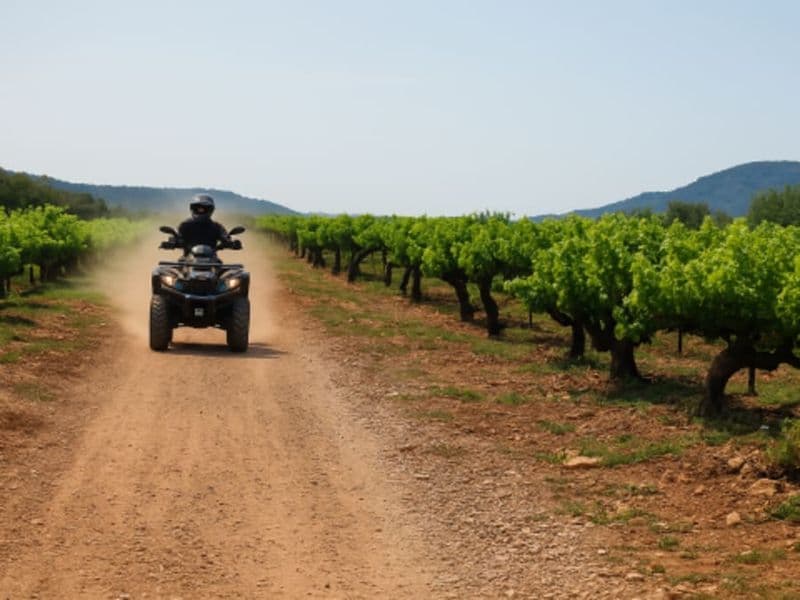 Billet Randonnée oenotouristique en quad près de Montpellier