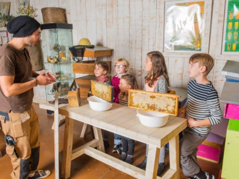 Billet Atelier Abeilles & animaux de la Ferme de Gally de Sartrouville