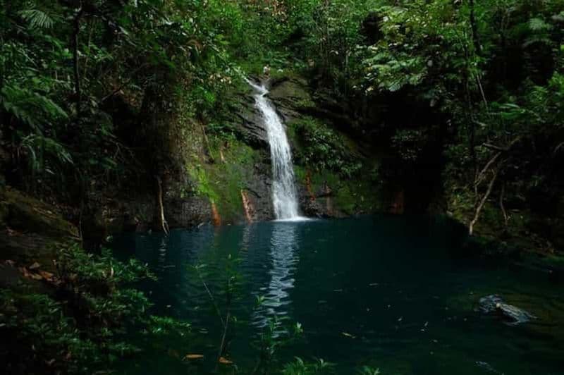 Placencia : Randonnée dans le bassin de Cockscomb et descente de rivière