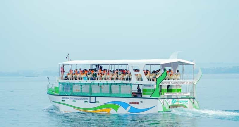 Mirissa : croisière commentée de luxe pour l'observation des baleines