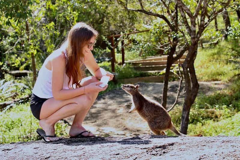 Port Douglas : Safari animalier avec guide privé