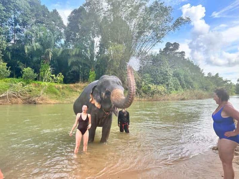 Khao Sok : journée à la garderie des éléphants et rafting en bambou
