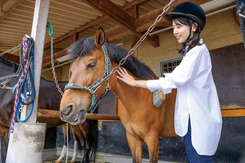 Club d'équitation pour apprendre à relier les vies