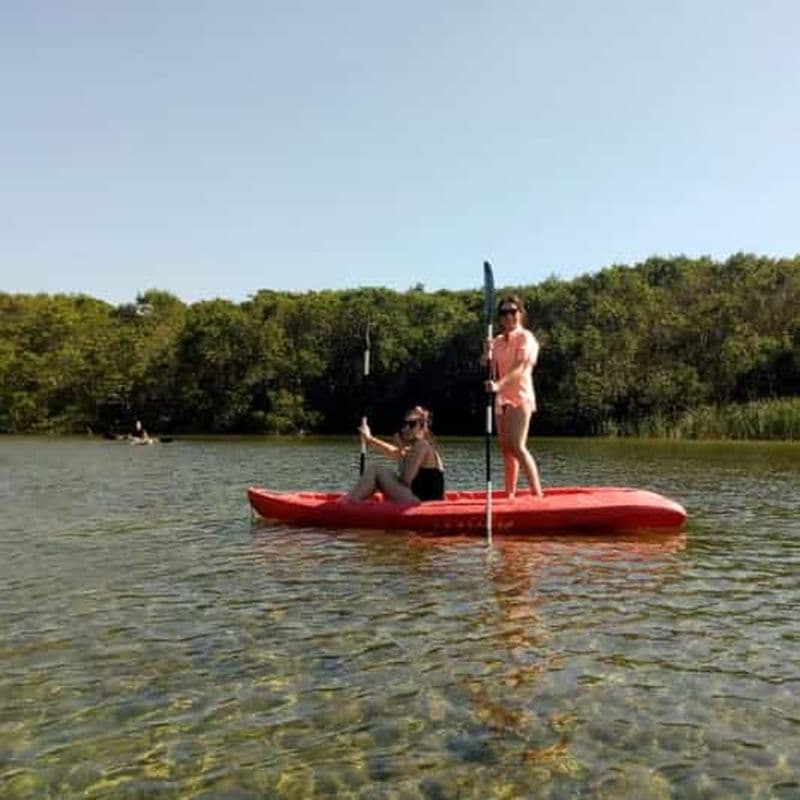 Billet Mérida : Kayak et sanctuaire d'oiseaux à Sisal