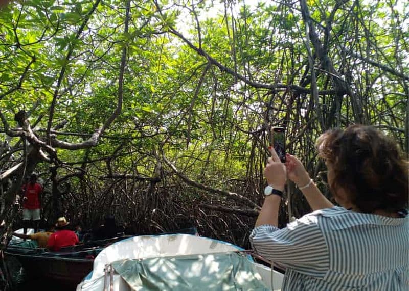 Sri Lanka Bentota : Croisière privée sur la lagune et la rivière des mangroves
