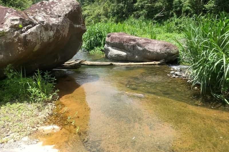 San Juan : Randonnée sur la rivière Toro Negro et aventure de saut de falaise