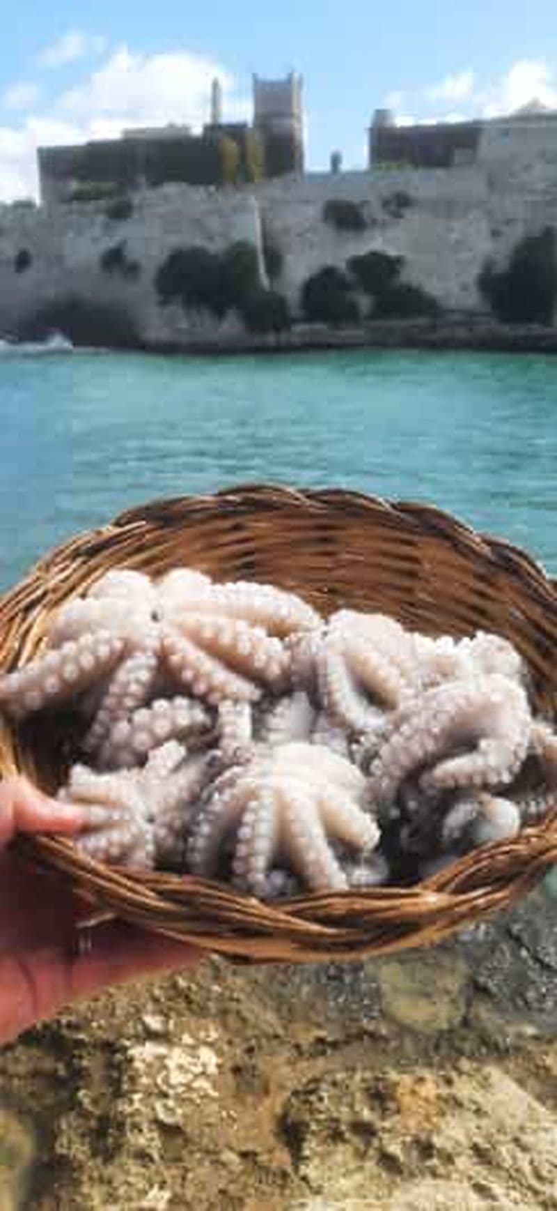 Bari : expérience de pêche à bord d'un authentique bateau de pêche