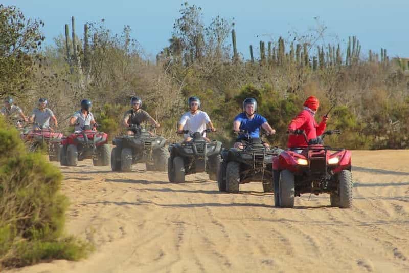 Los cabos : plage et désert en quad avec transfert et dégustation de tequila
