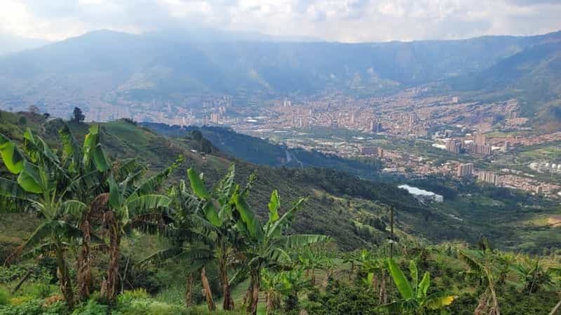 Medellin : Visite d'une ferme de café et spa avec nuit en camping