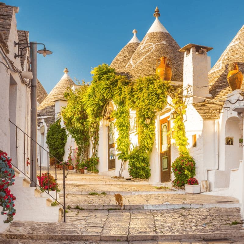 Visite guidée des Trulli d'Alberobello avec transfert inclus