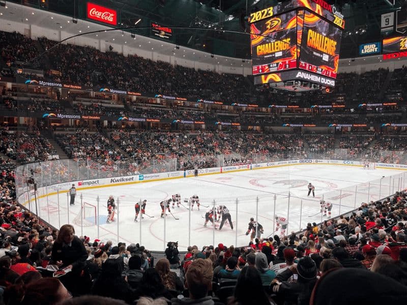 Los Angeles : Billets pour le match de hockey sur glace des Ducks d'Anaheim